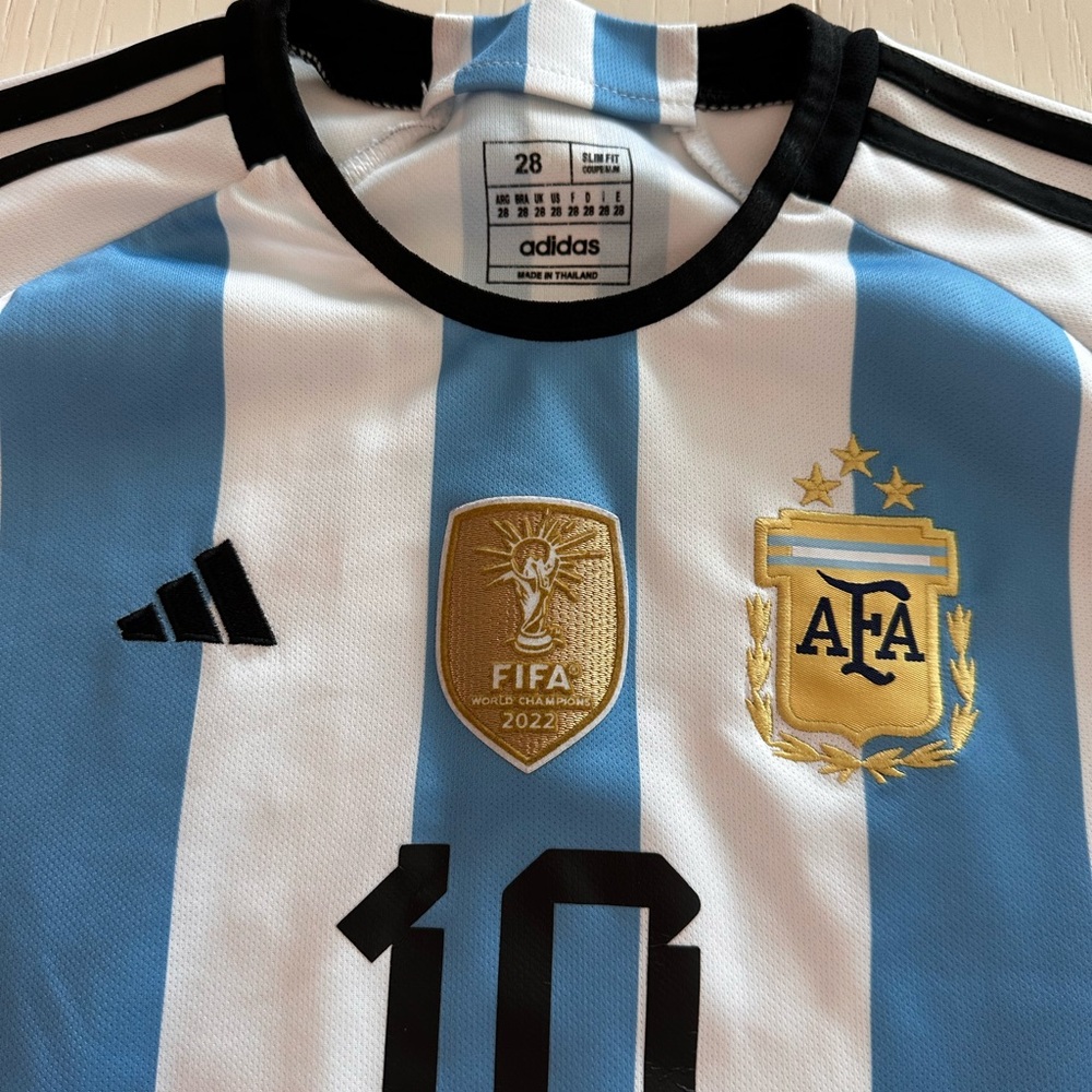 Messi Argentina Blue and White Striped Jersey